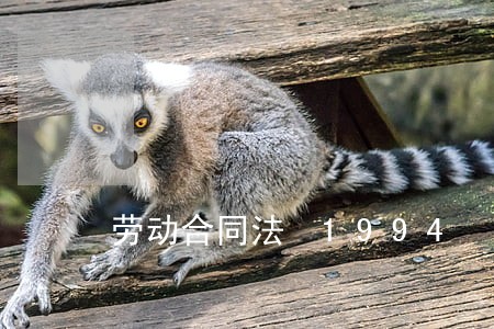 劳动合同法 1994 劳动合同法 1994